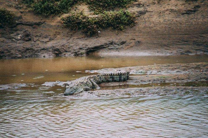 ヤーラサファリプライベート日帰り旅行（往復送迎付き）オールインクルーシブ