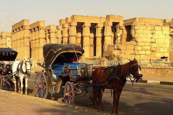 Tour della città di Assuan in carrozza