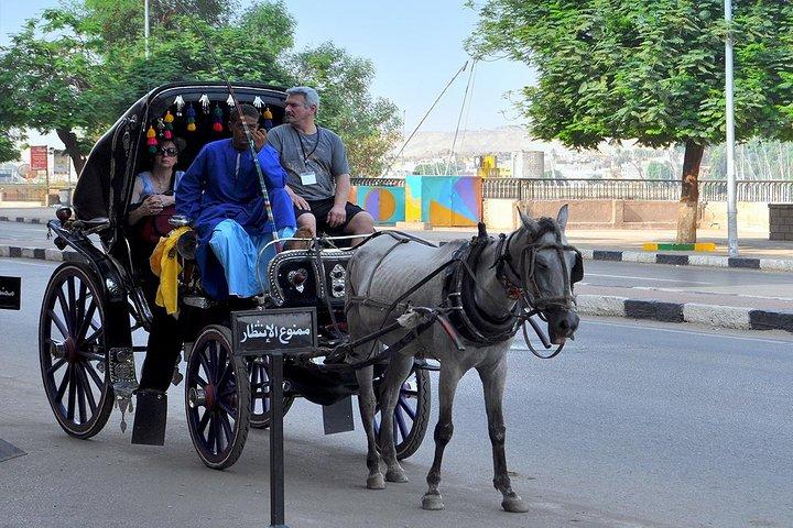 Tour privato della città di Aswan in carrozza
