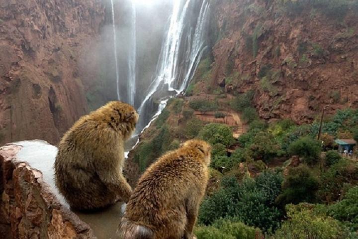 Cascate di Ouzoud
