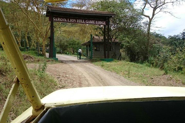 Tagestour zum Lake Nakuru Nationalpark ab Nairobi
