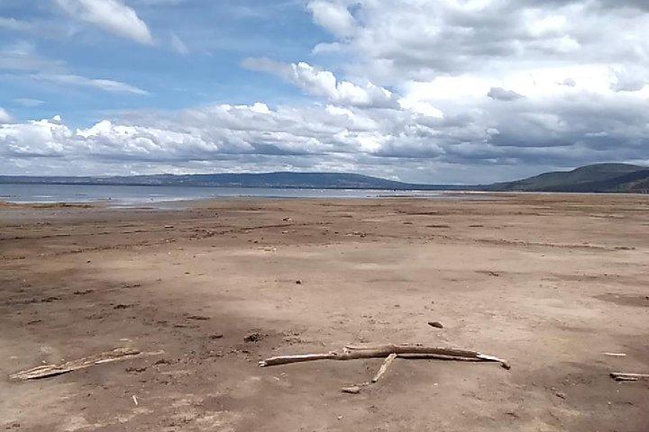 Private Day tour Nakuru National Park & Boat Ride