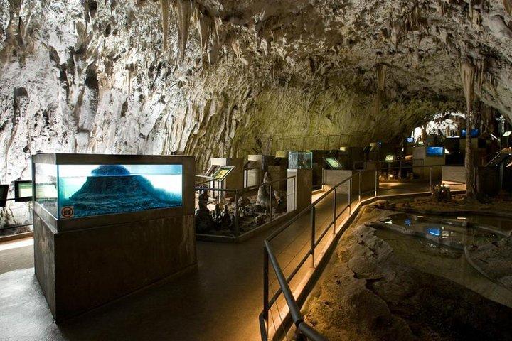 Grotta di Postumia e Castello di Predjama - Tour per piccoli gruppi da Trieste
