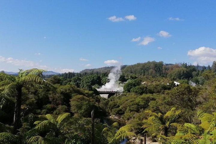 Excursion de 4 jours/3 nuits à Wellington