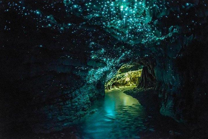 Excursion de 4 jours/3 nuits à Wellington