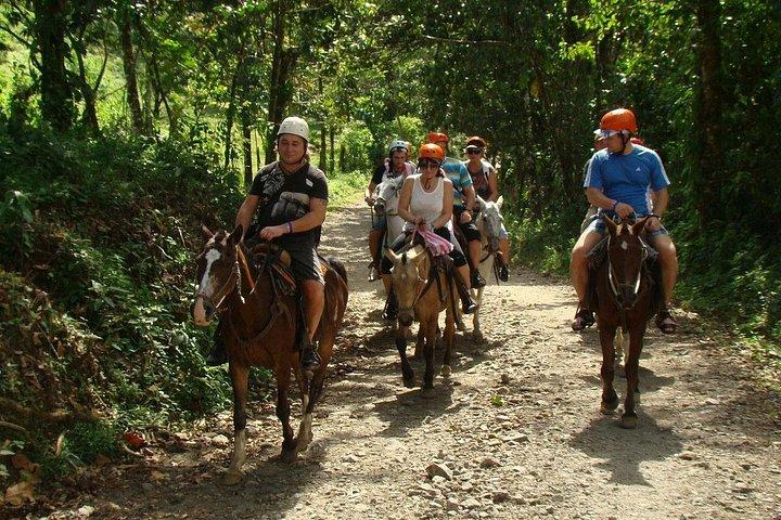 Horseback Ride to La Fortuna Waterfall