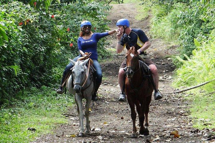 Horseback Ride to La Fortuna Waterfall