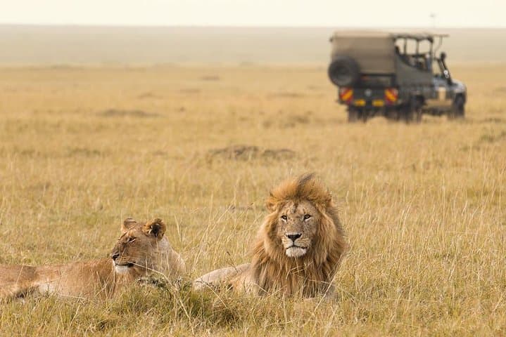 8 Days 7 Nights Luxury Safari By Jeep (minimum 2 persons)