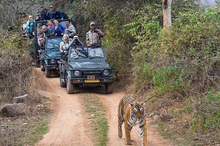 Circuit du Triangle d'Or de 8 jours avec Ranthambore et Udaipur