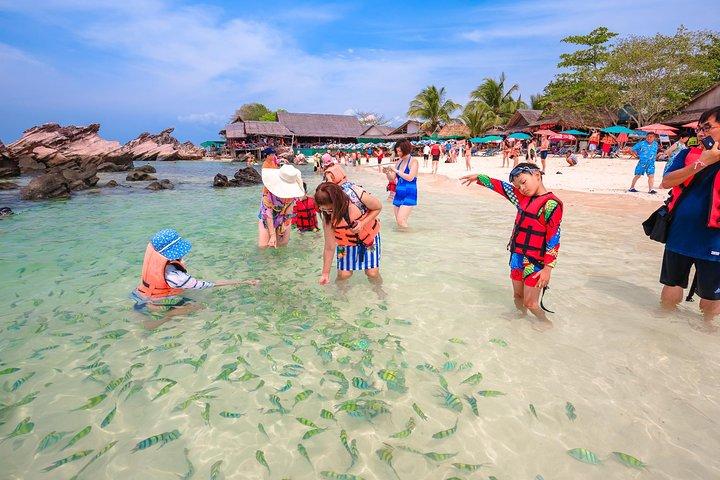 Phuket à Îles Khai : Plongée en demi-journée et paradis de la plage