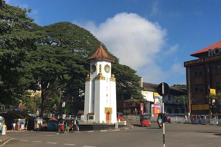 Ayurveda & Wellness - Colombo Shore Excursion