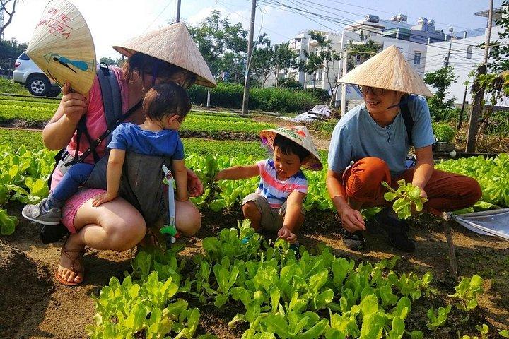 Cooking with Jolie in Hoi An