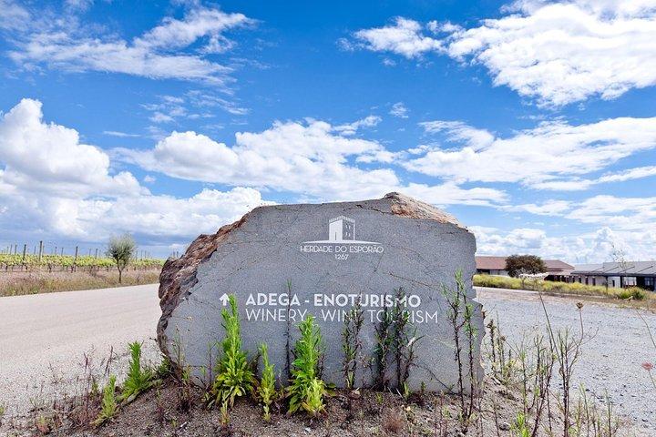 Private Wine Tour Alentejo