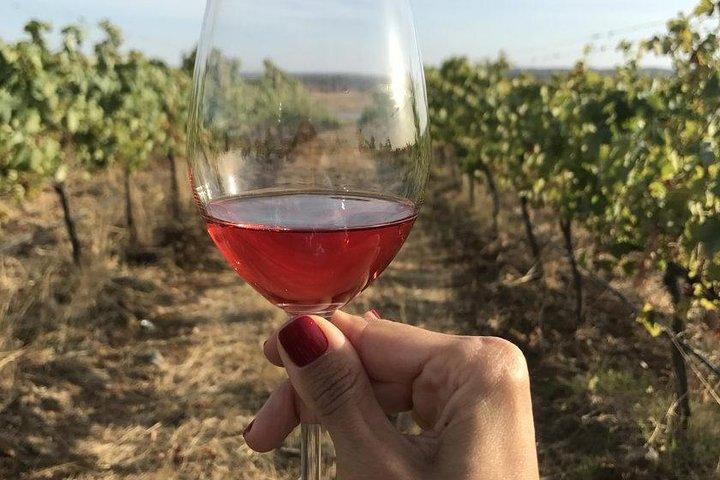 Tour privato del vino Alentejo
