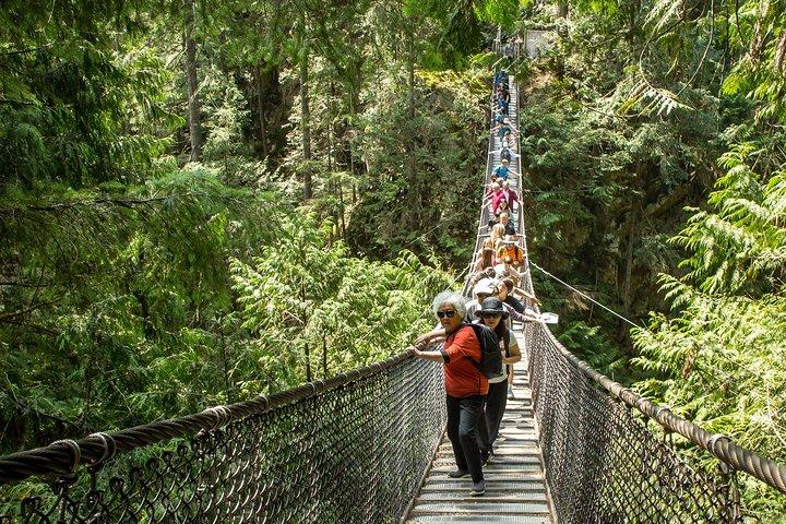 Betagende naturvandring i Lynn Canyon Park