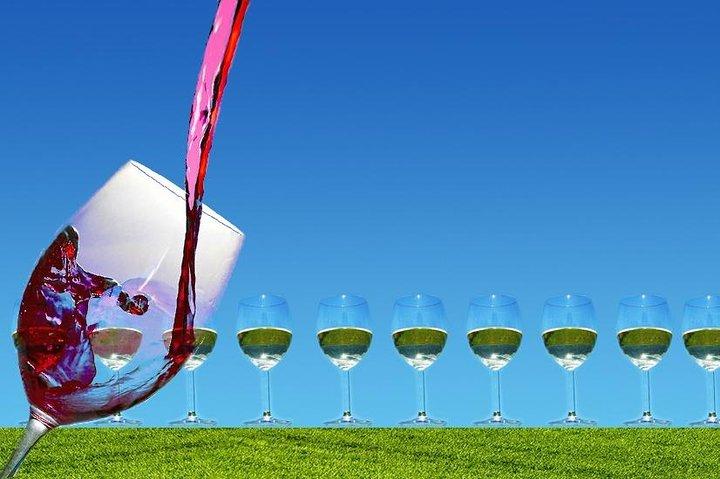 Hoteller i nærheden af Amador County Wine Tasting Tours