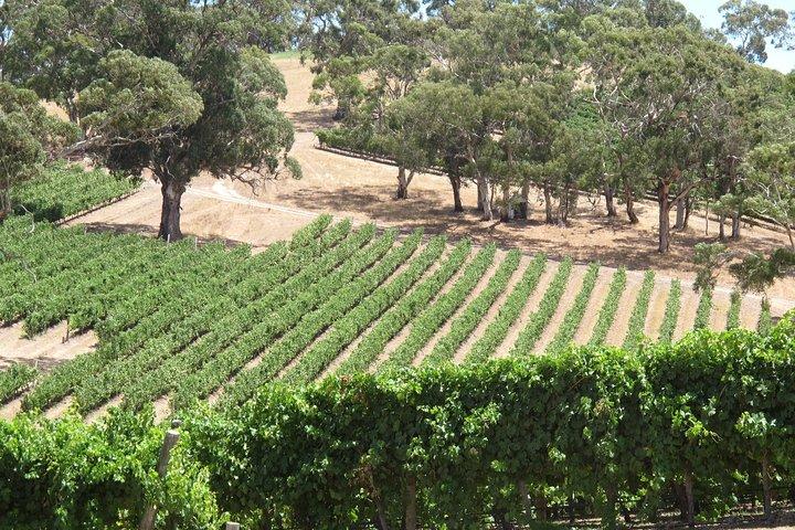 Hoteller i nærheden af Amador County Wine Tasting Tours