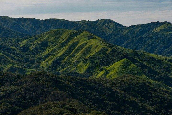 Desde San José : Monteverde Cloud Forest & Local Farm Experience