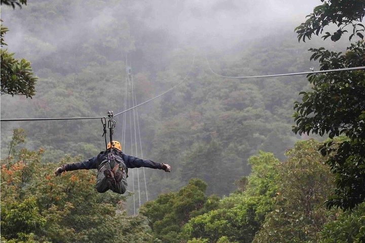 Desde San José : Monteverde Cloud Forest & Local Farm Experience