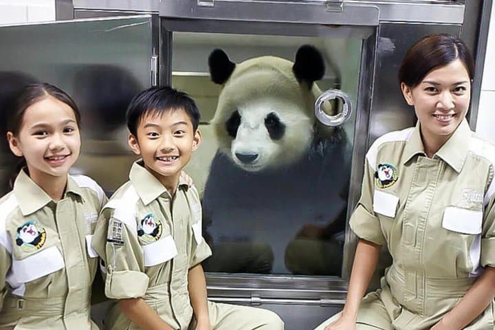 Hong Kong's Honorary Panda Keeper