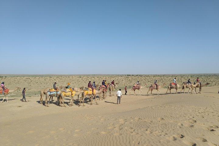 Kamelsafari