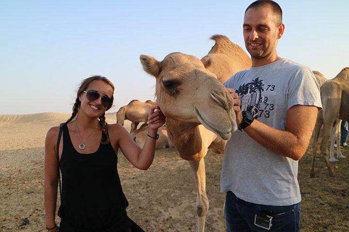 Desert Safari Abu Dhabi