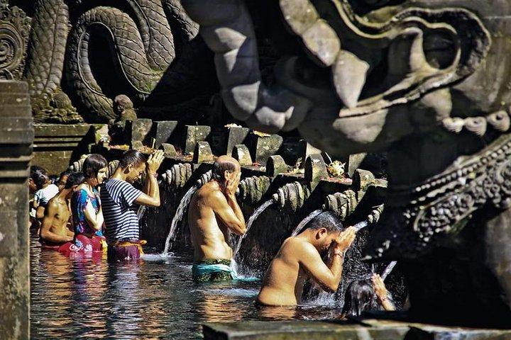 Ubud: Monkey Forest, Jungle Swing, Terrazza di riso e Tempio dell'acqua