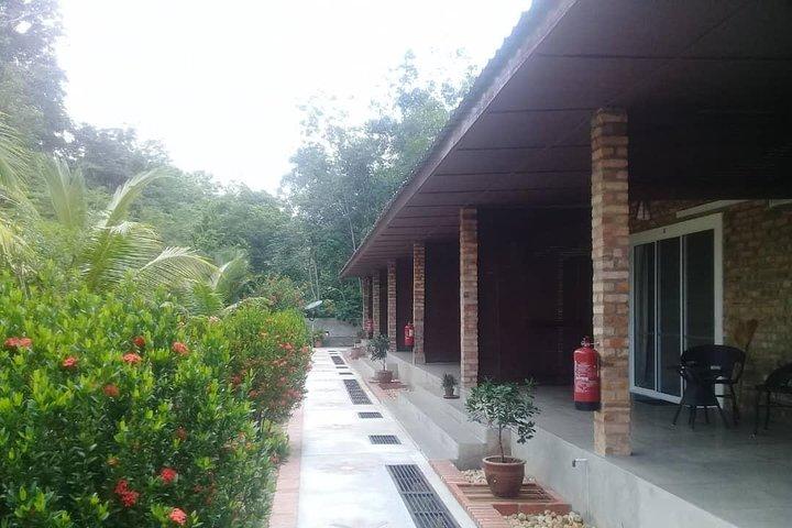 Transfert privé à Taman Negara de Kuala Lumpur