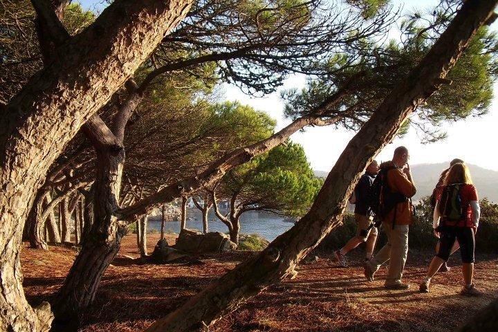 Costa Brava Small Group Vandringstur från Barcelona