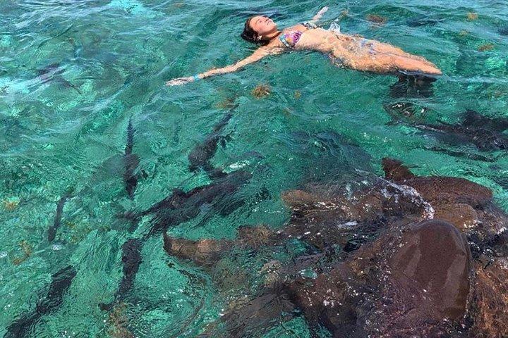Hol Chan Full-Day Bucket List Snorkeling e tour della vita marina