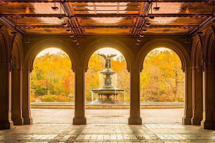 2 Stunden Central Park Pedicab Tours