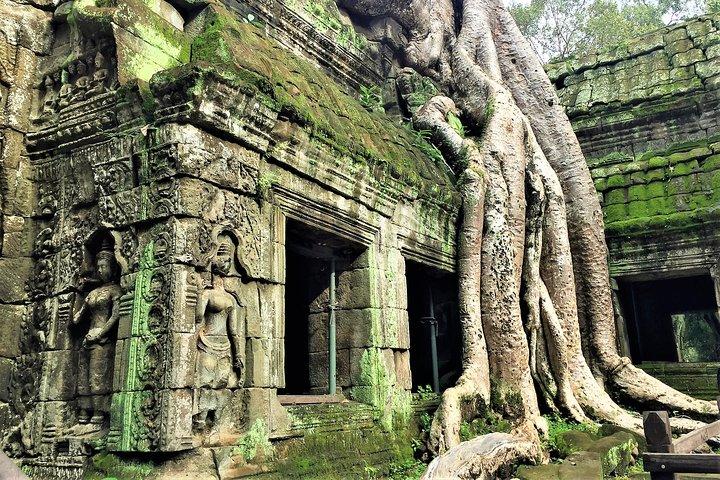 Tour privado de Angkor Wat desde Siem Reap