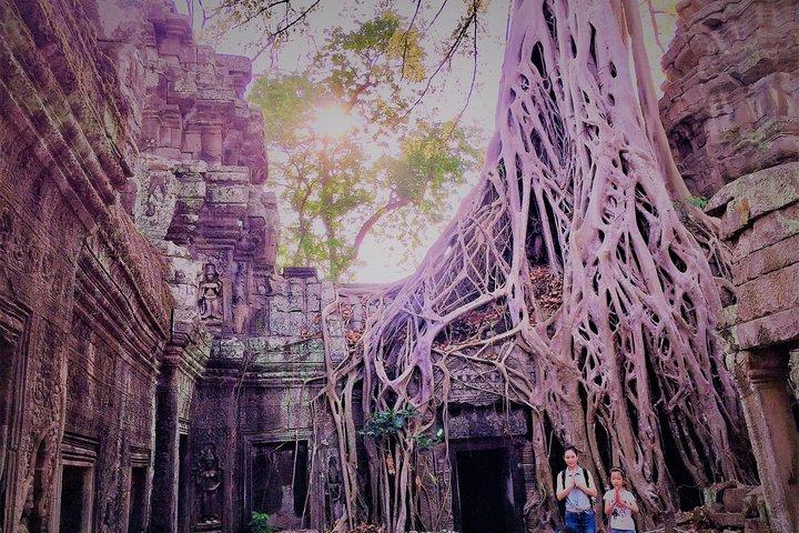 Private Angkor Wat Sunrise VIP di Jeep