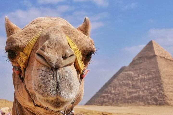 Privat rundtur vid Giza Pyramids & Sphinx