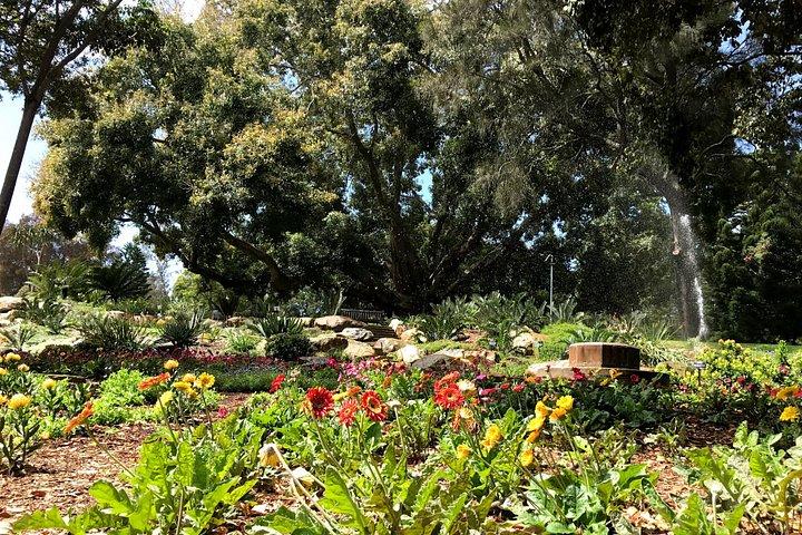 Ontdek Sydney - Botanic