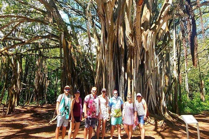 Local Private Tours