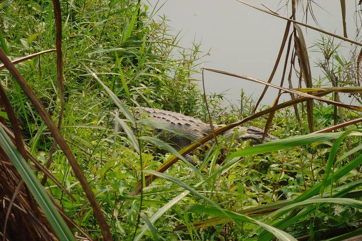 チトワン国立公園2泊3日