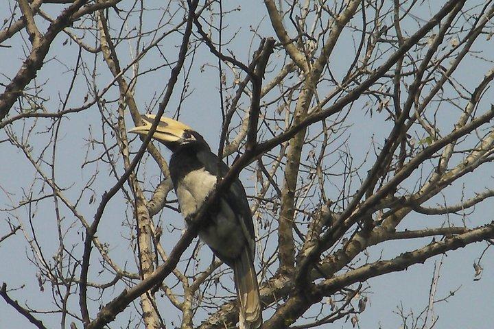 チトワン国立公園2泊3日