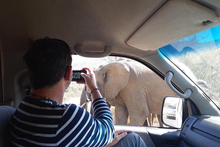 Tour guiado por el Safari guiado a pie por el Parque Nacional Kruger desde Johannesburgo