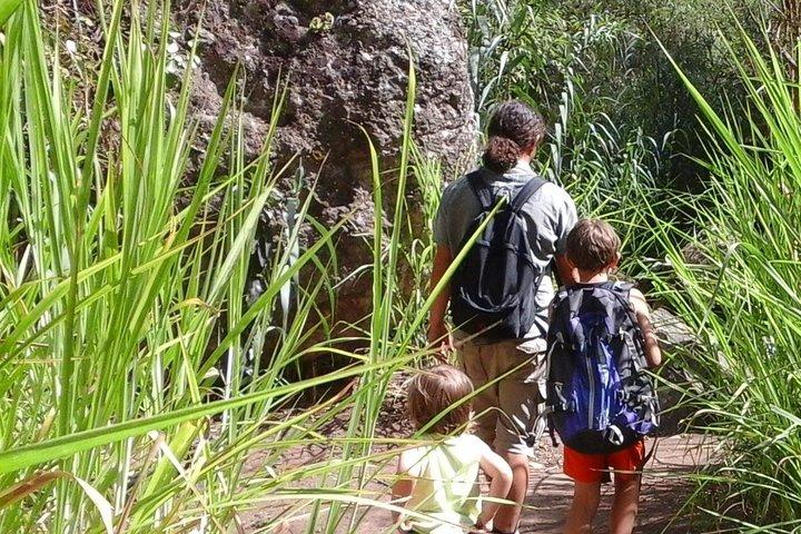 Gran Canaria promenades privées