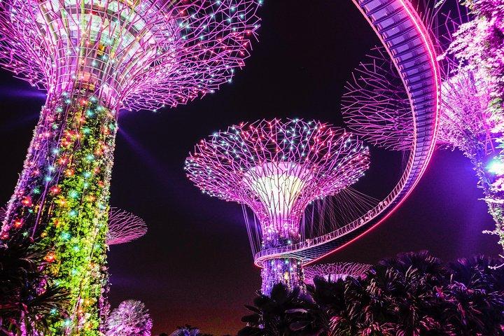 Chauffeur: Cameron Highlands nach Singapore Van Transfer