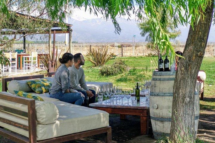 Día de las Bodegas del Valle de Uco con conductor privado
