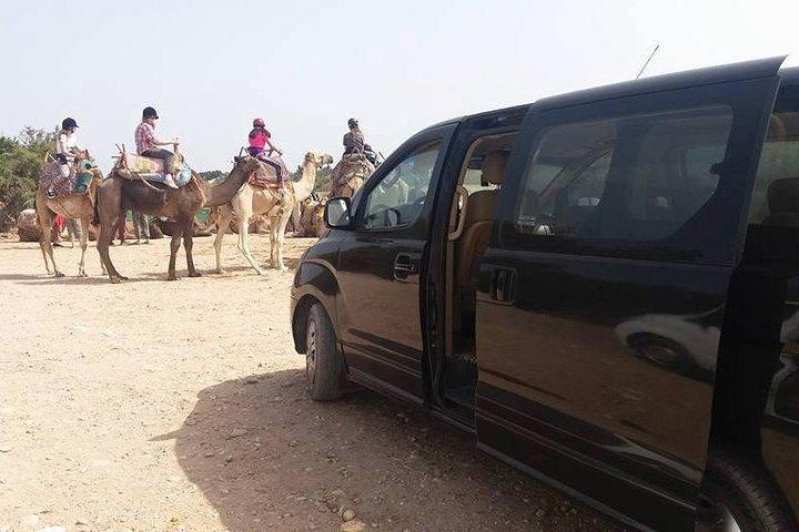 Excursion Essaouira from Marrakech