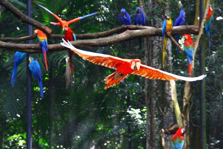 Excursão ao Bioparque Temaiken com Transfer Incluído
