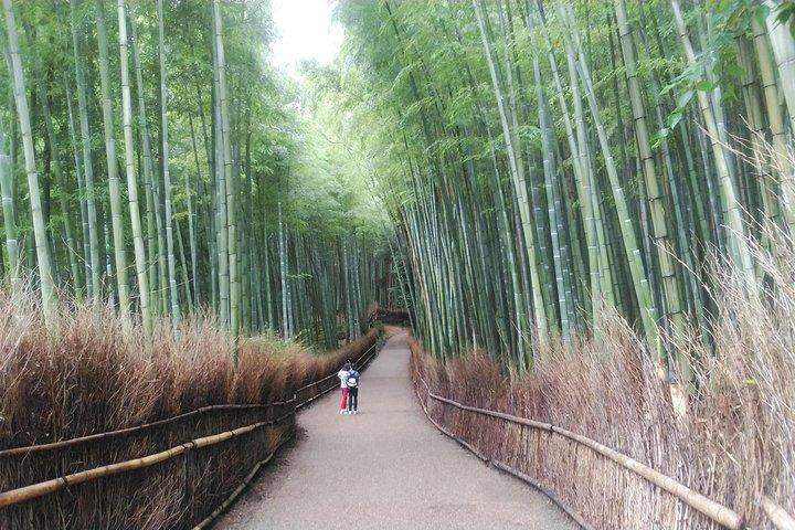 Kyoto Early Riser Platinum One-day Walking Tour