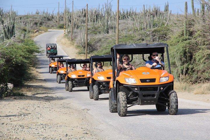 天然洞窟プールとクリフ ジャンプを楽しめるアルバ UTV ツアー