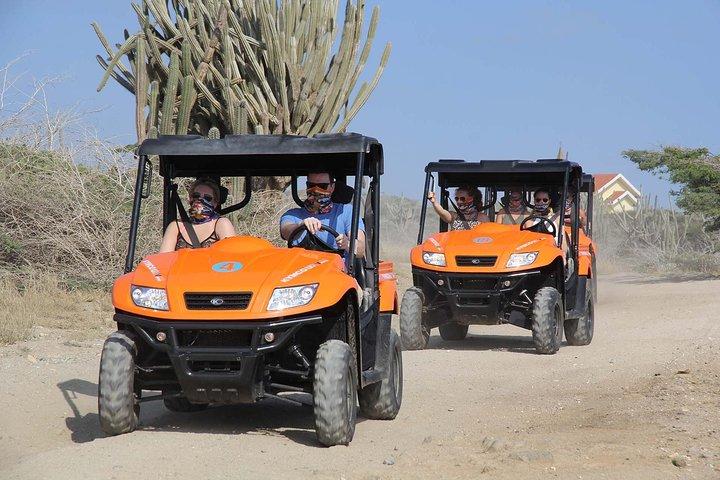 天然洞窟プールとクリフ ジャンプを楽しめるアルバ UTV ツアー