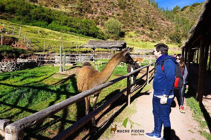 Tour ao Vale Sagrado: Tour Pisaq, Ollantaytambo e Chinchero.