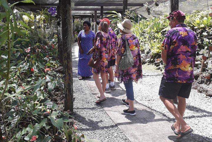 Nadi Sightseeing Include Viseisei Village, Mercado, Jardim e Templo