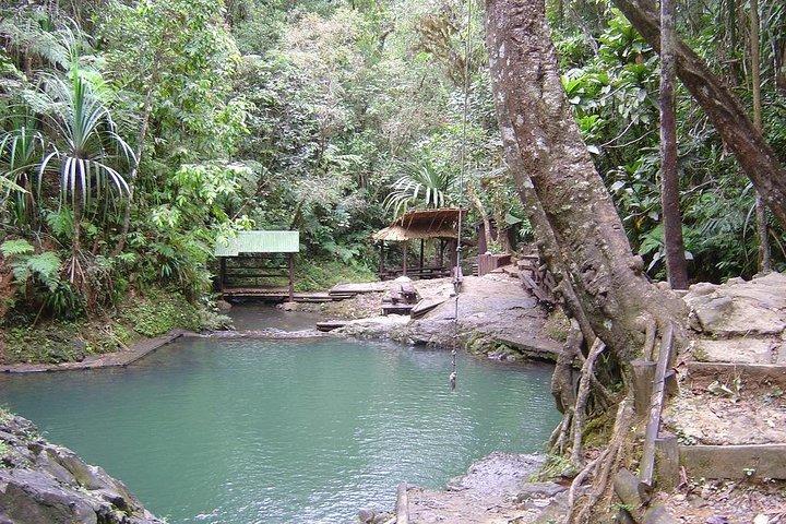 Tour delle cascate di Colo-i-Suva (Suva)